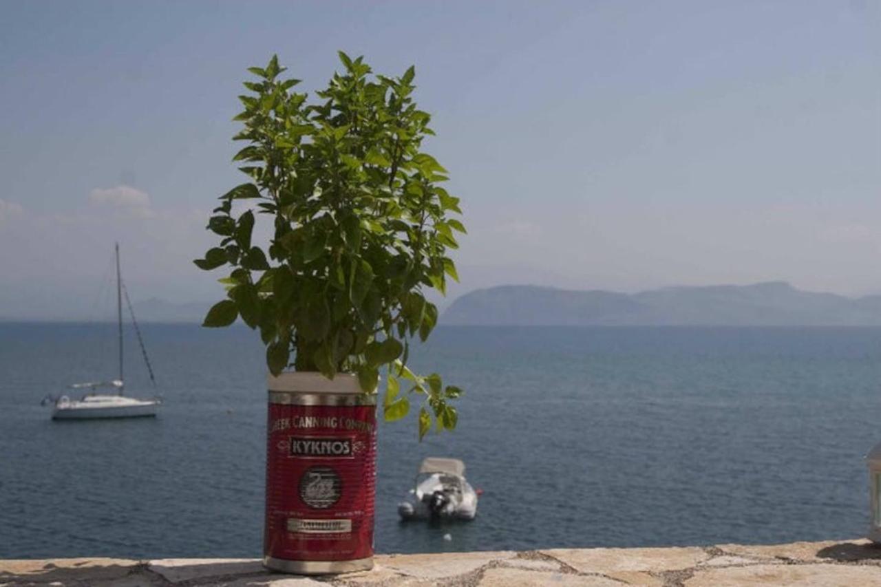 Kiveri 1876 Traditional Seafront Cottage 外观 照片